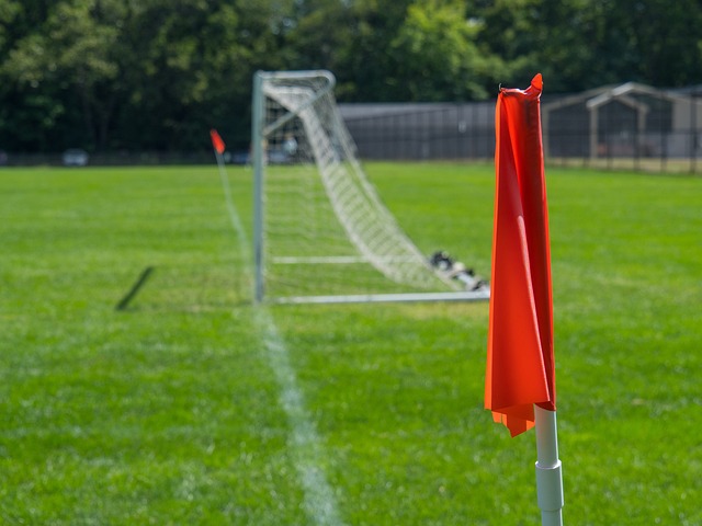 成績的起伏 成績的起伏