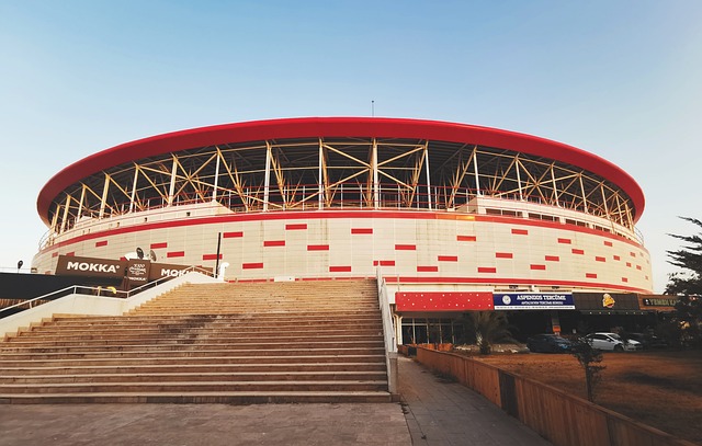 澳洲队近年 澳洲队近年