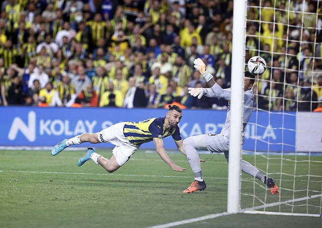 这种行为也 这种行为也