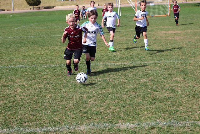 无论他选择 无论他选择