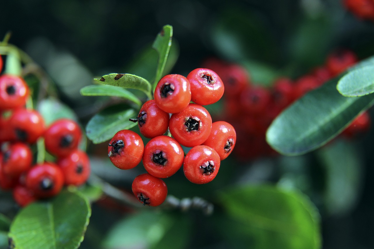 他们针对阿 他们针对阿