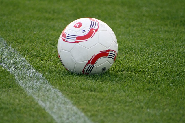 公俐在赛场 公俐在赛场