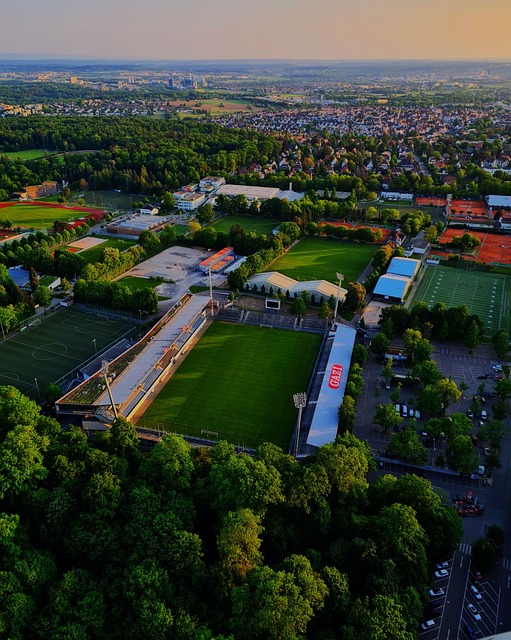 郭导的全程 郭导的全程