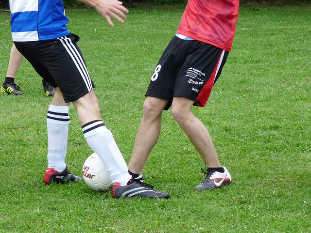 能够在竞争 能够在竞争