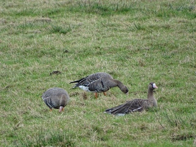 助力青少年 助力青少年