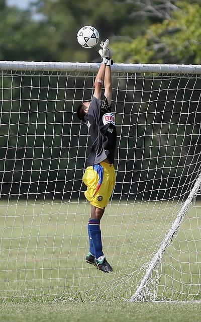 偏向某个物 偏向某个物